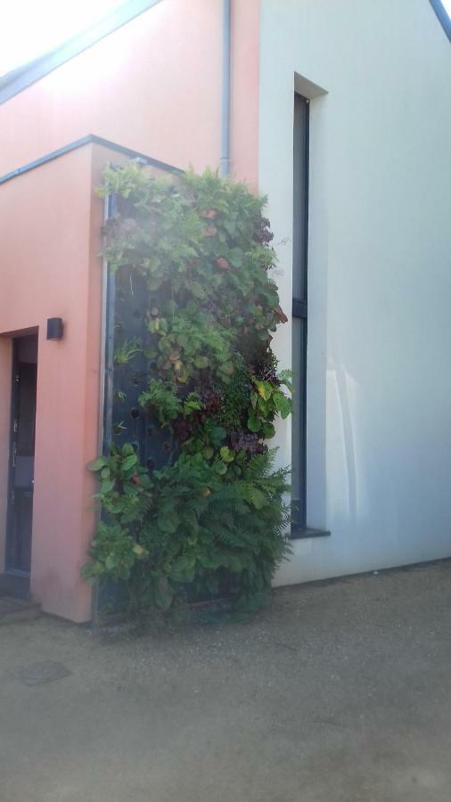 Maison Passive Et D'Architecte Treillieres Ngoại thất bức ảnh